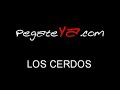 cerdos son torturados hasta la muerte