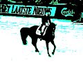 Hey4Hay Ultimate Horse Tribute Hey4Hay Ultimate Horse Tribute