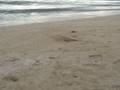 videos de jose andres, jeny, blank, rebe,vega,omar,spedy