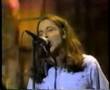 Collective Soul Gel Live