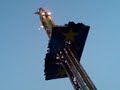 day out to the mall on rides