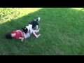 Count Fail E01
