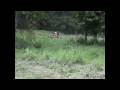 videos de Andys track and hill climb