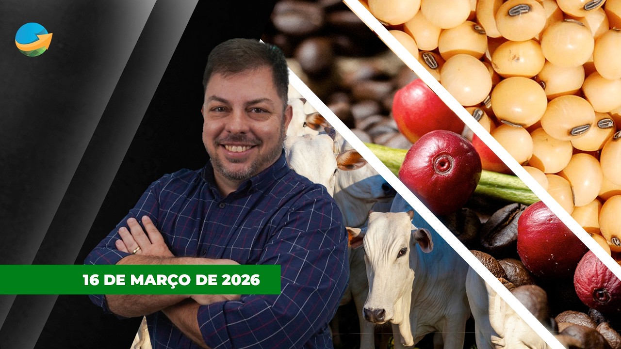 Cotação da soja derrete em Chicago com possível adiamento do encontro em Xi e Trump; Boi em SP ...