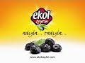 Ekol Zeytin, Ekol Aktaş, Zeytin ve Zeytincilik