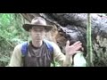 That Big Amazon Tree That Big Amazon Tree