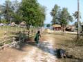 Cambodge, Sihanoukville,Otres,Bambou island