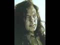 David Lindley - She Took Off My Romeos