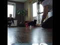 Air Jordan Cat Air Jordan Cat