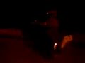 Telepi racing video Telepi racing video