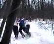 A Walk in the Woods