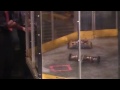 Click here to watch this video Bots IQ Wisconsin 2012: X wing vs Trojan Aluma Horse