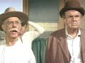 The apple dumpling gang
