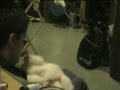 Meow...