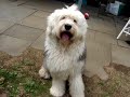 Mick says hello to all his friends
