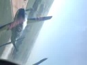 Esquadrilha da Fumaça (EDA) - Filmagem interna do avião -