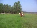 Bram over boomstam heen springen