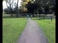 Park path (video) - October 13, 2008, 11:53 AM