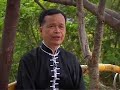 An interview with yingjaau faanji (eagle claw / yingzhao fanzi / 鷹爪翻子) master Ng Kwanpok (Wu Kunpu / 吳崑璞) from hongkong TV (from the Sifu talks serie)