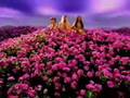 TLC - Unpretty