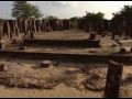 Sri Lanka Roots of Paradise 4 of 5