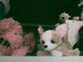 The Potential Breakup Song - Webkinz The Potential Breakup Song - Webkinz