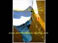 shanna - il est interdit