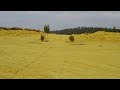 capturas jilgueros 2009.AVI