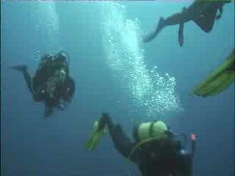 Tiran 2007