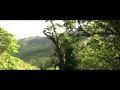 KAUAI: ISLAND OF BEAUTY, DVD TRAILER