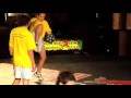 Guarda video