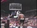 IWA PUERTO RICO Summer Attitude 2