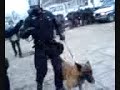 police take down  anti globalists on a G8 meeting in Oslo