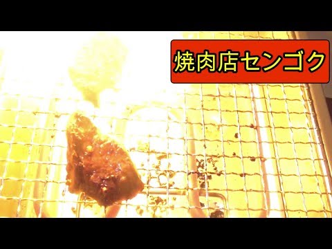 動画