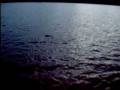 videos de Captura de carpa 10 kg.MPG