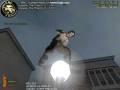 videos de OMG Fun movie