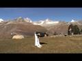 8 Qi- Gong Daily Exercises