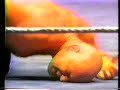 Baron Von Raschke vs Bruno Sammartino
