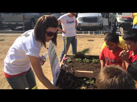 how to be a disney voluntears