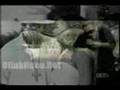Wisin Y Yandel Ft. 50 Cent - Pegao' Remix