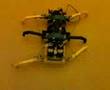 Hexapod1