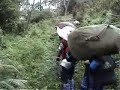 Kilimanjaro Day 2