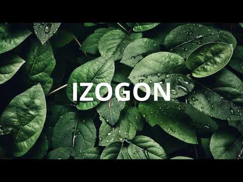 Calippo x Meduza - What Is House A Power Over Me (IZIN Edit)