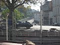 Amilcars au marronnier