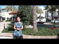 December 2011 Video Newsletter
