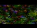 STOP ROKKASHO atticplay remix