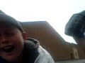 jackass