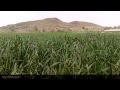 Iran Khorasan Razavi Landscapes and Nature