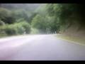 videos de Tweety