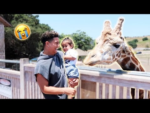 ELLE MEETS THE GIRAFFE FOR THE FIRST TIME...AND SHE FREAKS OUT!!! (SORRY ELLE)